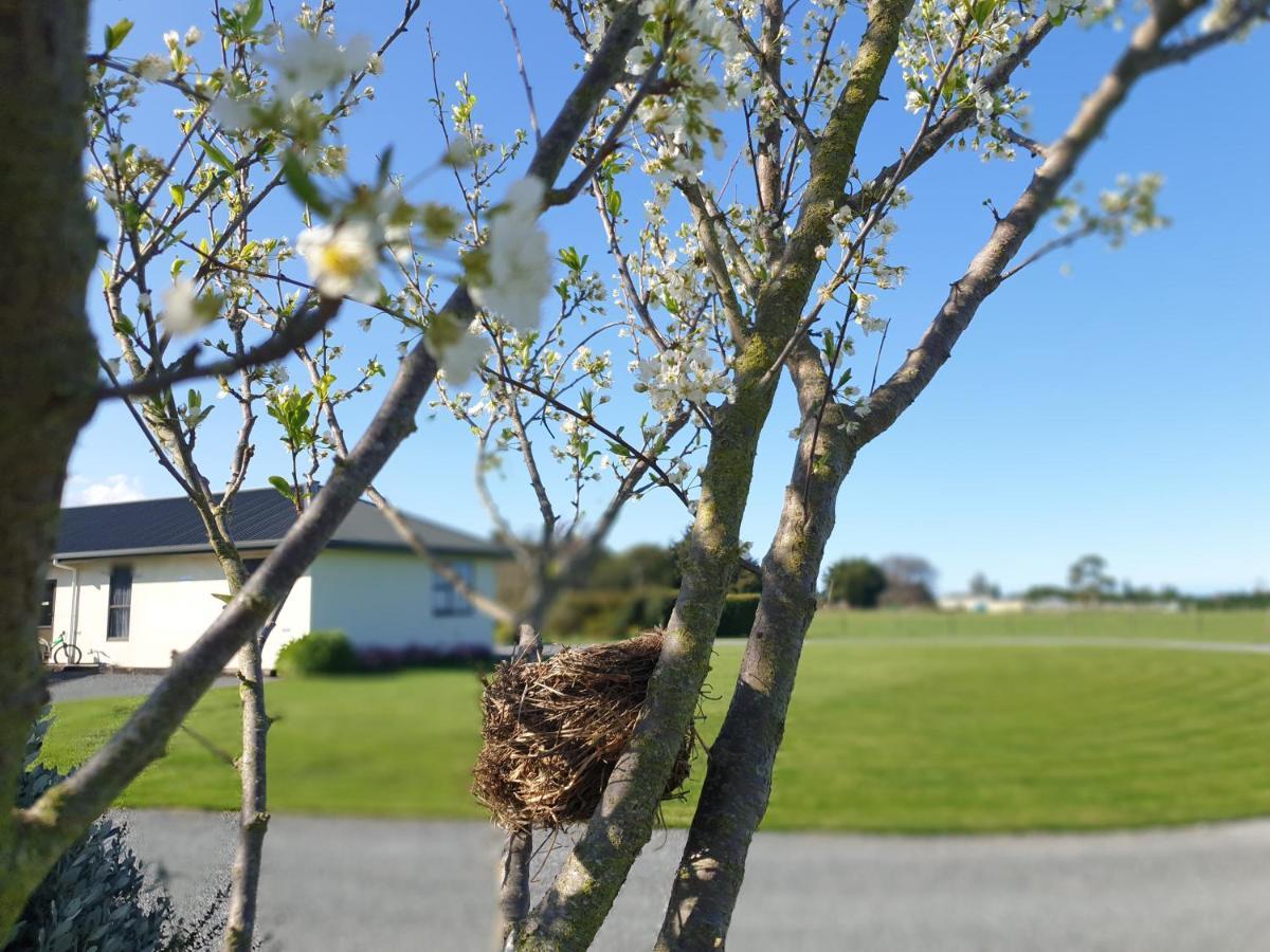 Te Mahuru Retreat Kaikoura Eksteriør bilde